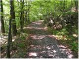 Planina (Dolnja Planina) - Sveta Marija na Planinski gori